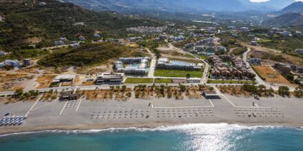 Alegria Beach Resort - sommeren 2025