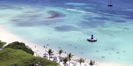 Velkommen til Aruba! Her venter hvite sandstrender, turkist hav og tropiske vekster.