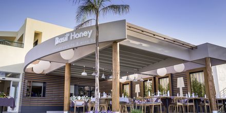 Restauranten Basil' Honey