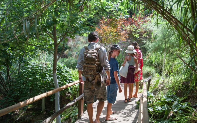 Botanisk hage - guidet tur