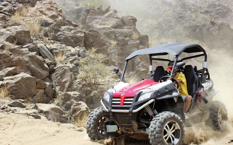 Buggy-safari i De tusen palmers dal