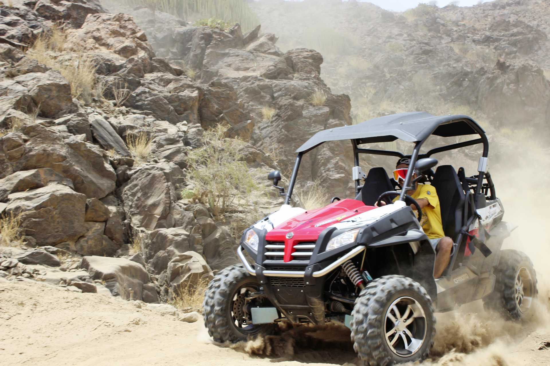 Buggy-safari i De tusen palmers dal