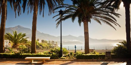 Det subtropiske klimaet på Costa del Sol glimter til med herlige reisemål og vakker natur.