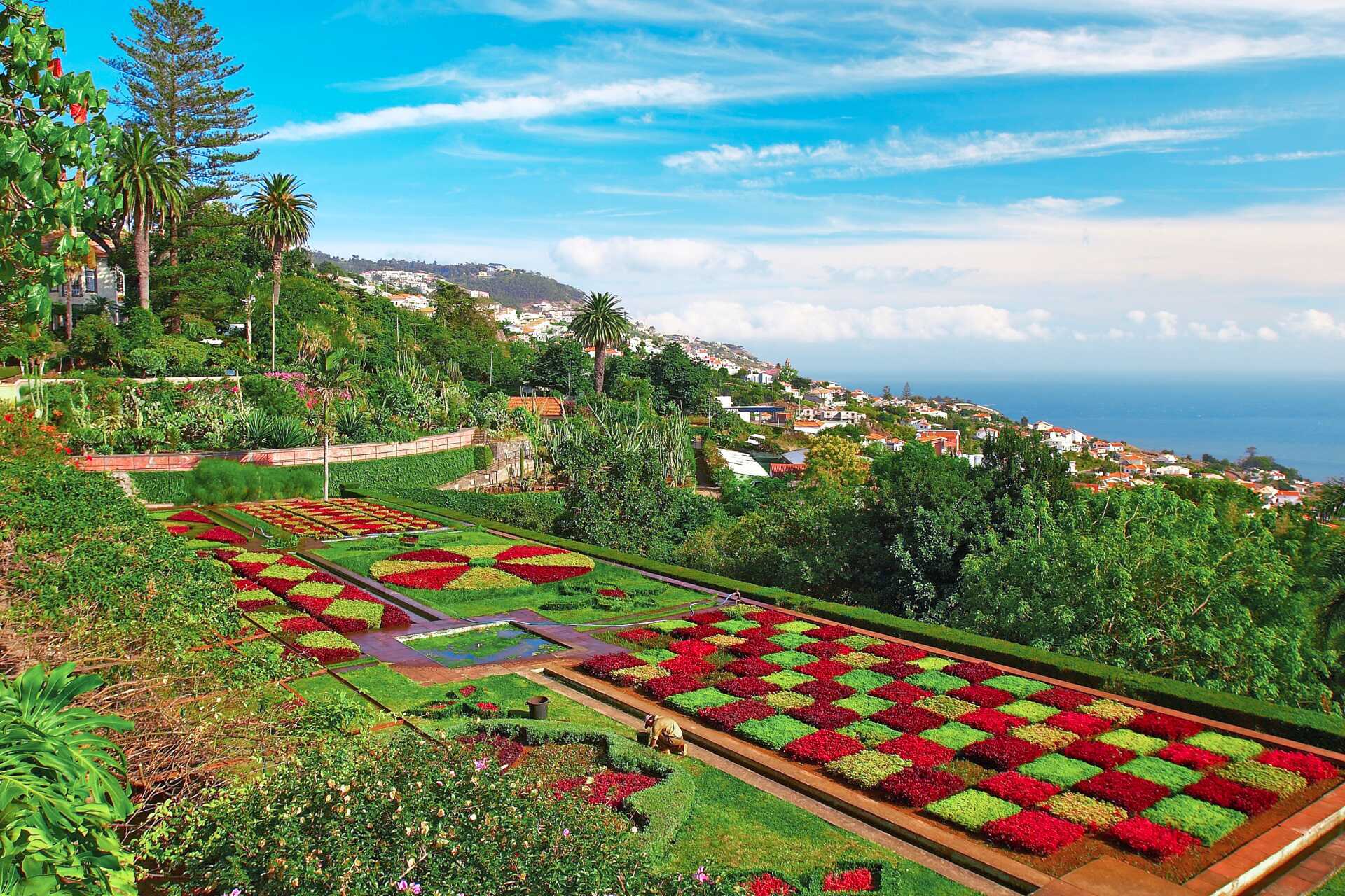 Den botaniske hagen i Funchal på Madeira