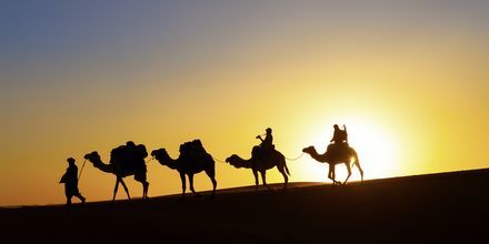 Solnedgang i ørken