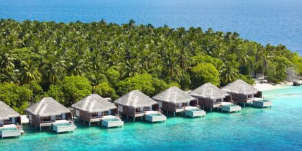 Dusit Thani Maldives – vinter 2023/24 & Sommer 2024