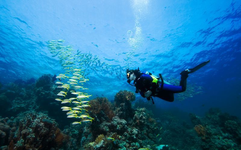 Dykkerkurs - Advanced Open Water Dive