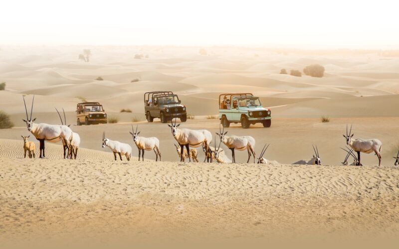 Elegant ørkensafari i G-Class med middag