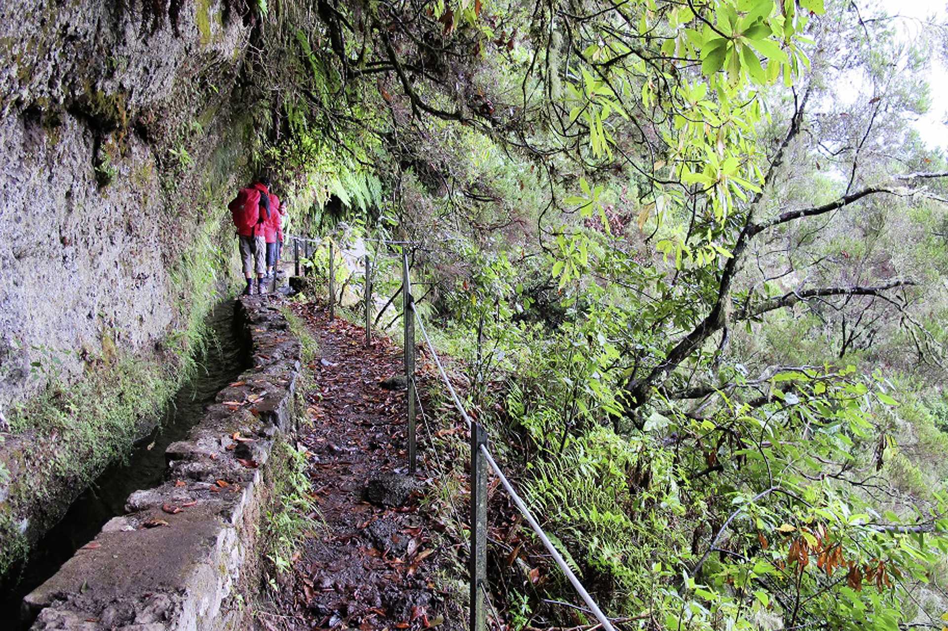 Fottur – Queimadas/Santana, 13 km