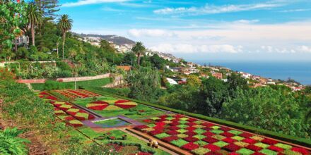 Den botaniske hagen i Funchal på Madeira