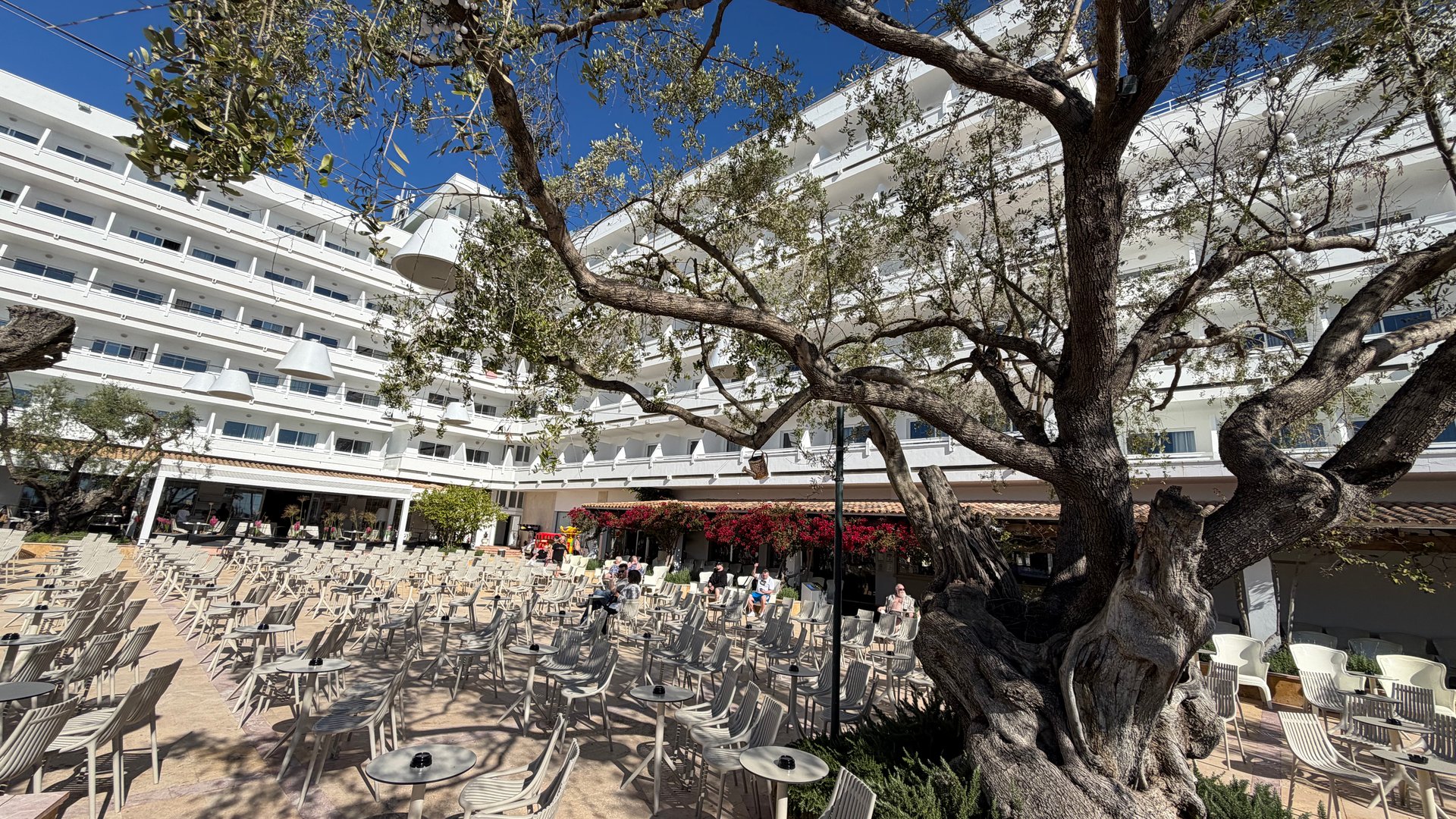 Terrasse