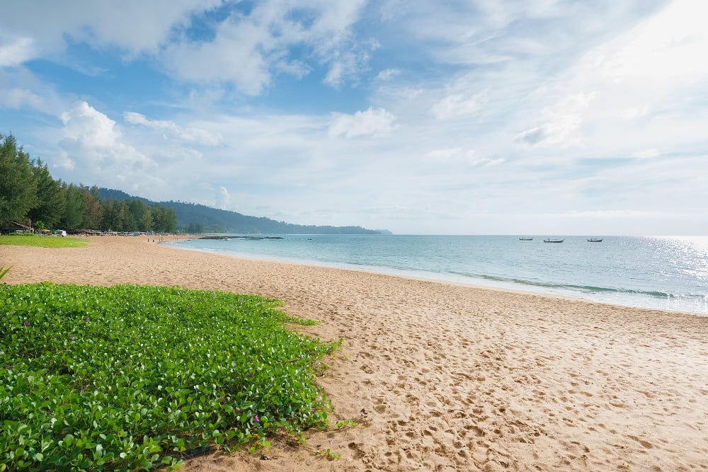 Strand