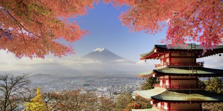 Japans høyeste fjell, Fuji – samt et vakkert tempel.