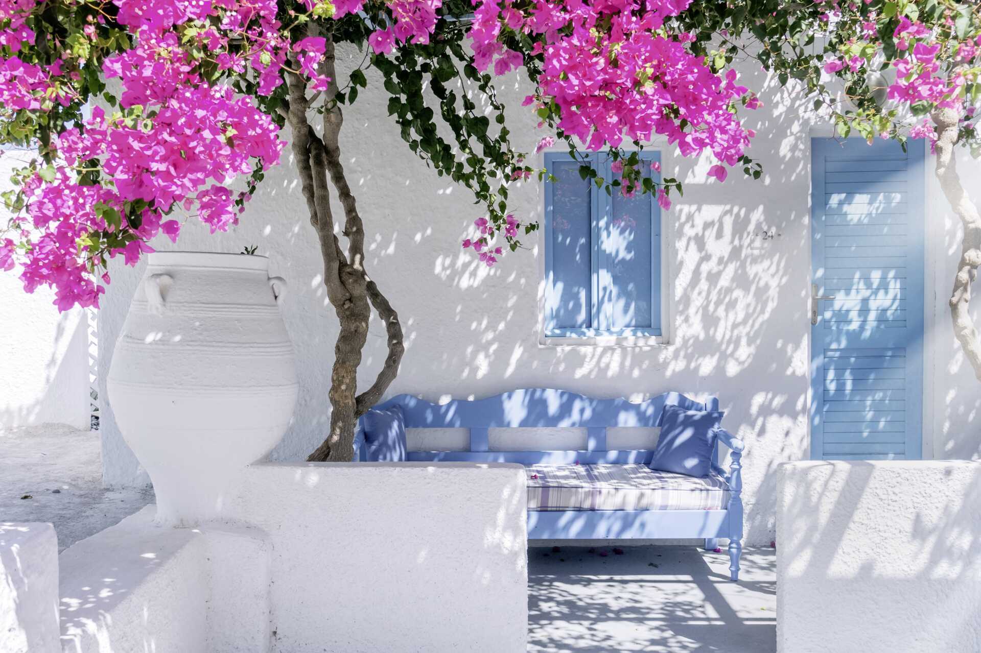 Bougainvillea på Santorini