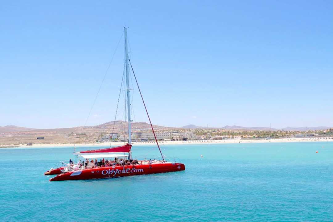Katamarantur til Isla de Lobos