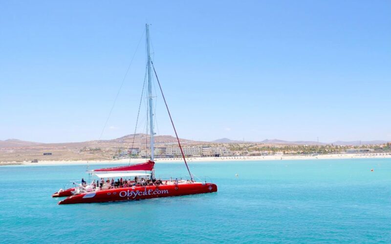 Katamaranutflukt til Isla de Lobos
