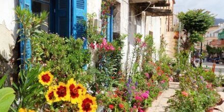 Blomstrende omgivelser langs hovedgata i Paleochora på Kreta