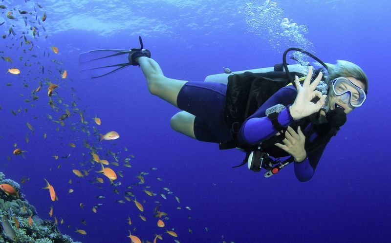 Dykkersertifikat - Open Water Diver