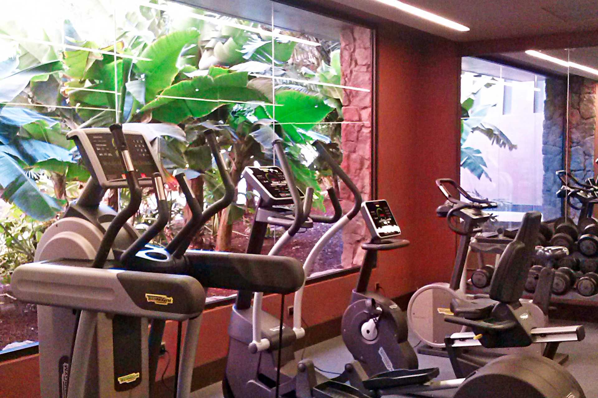 Treningsrommet på Lopesan Baobab Resort i Meloneras, Gran Canaria.