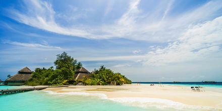 Maldivene er helt perfekt! Spesielt for deg som elsker sol, bad og hvite strender.