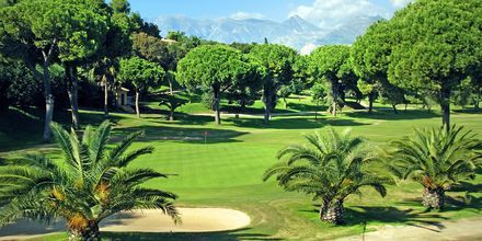 I Marbellas nærområde kryr det av golfbaner.