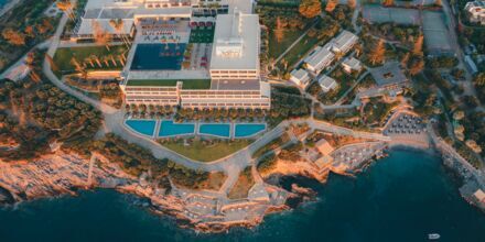 Minos Palace Hotel & Suites