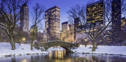 Vinter i Central Park om vinteren er en fryd for øyet.