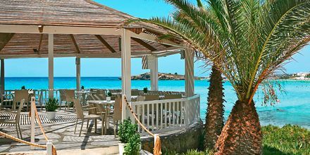 Poolbaren på Hotell Nissi Beach i Ayia Napa, Kypros.