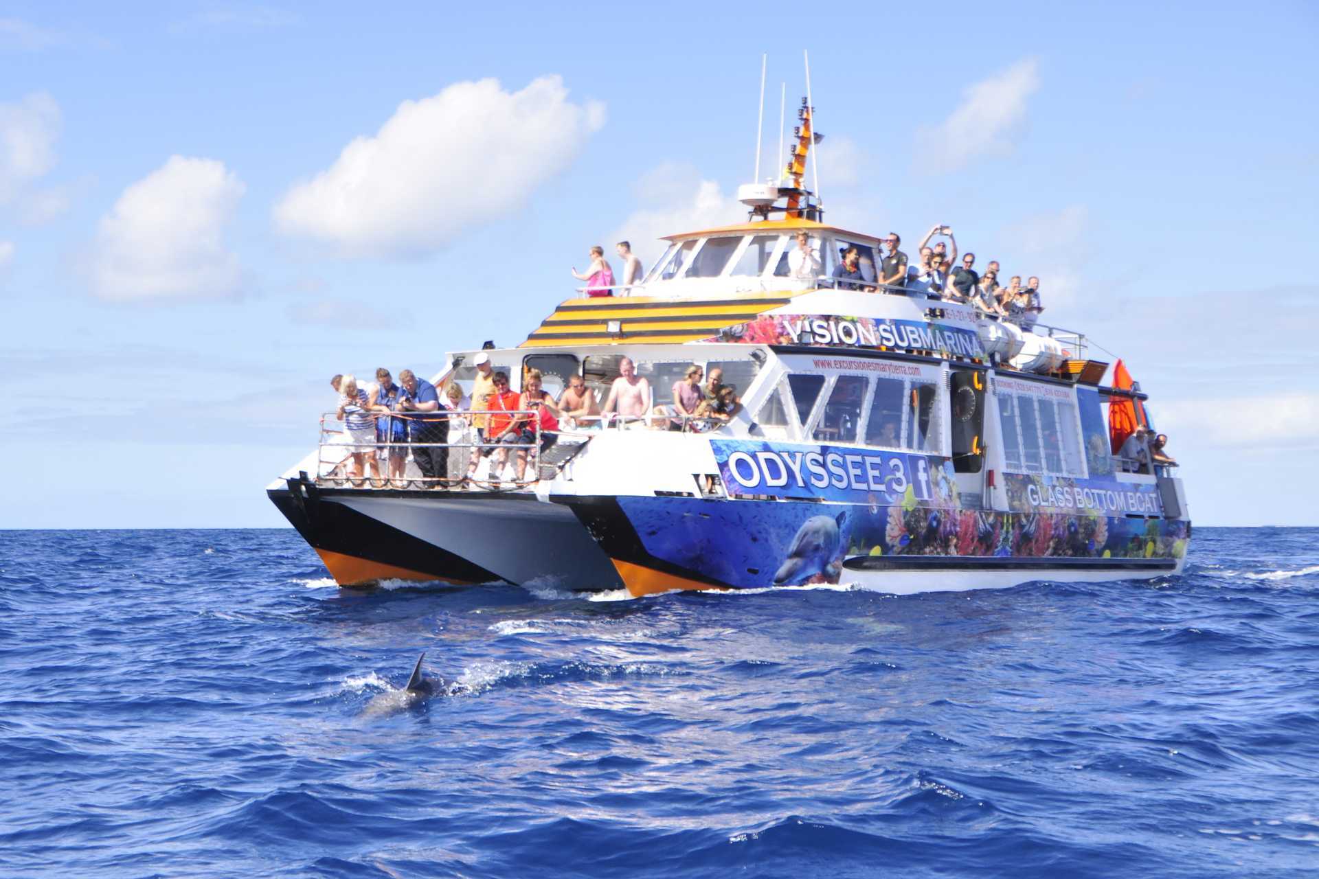 Opplev havet om bord på en glassbunnsbåt