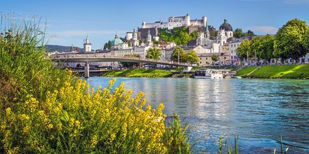 Salzburg er en annen koselig by i Østerrike – kjent for sitt øl og at Mozart ble født her.