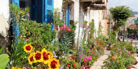 Blomstrende omgivelser langs hovedgata i Paleochora på Kreta