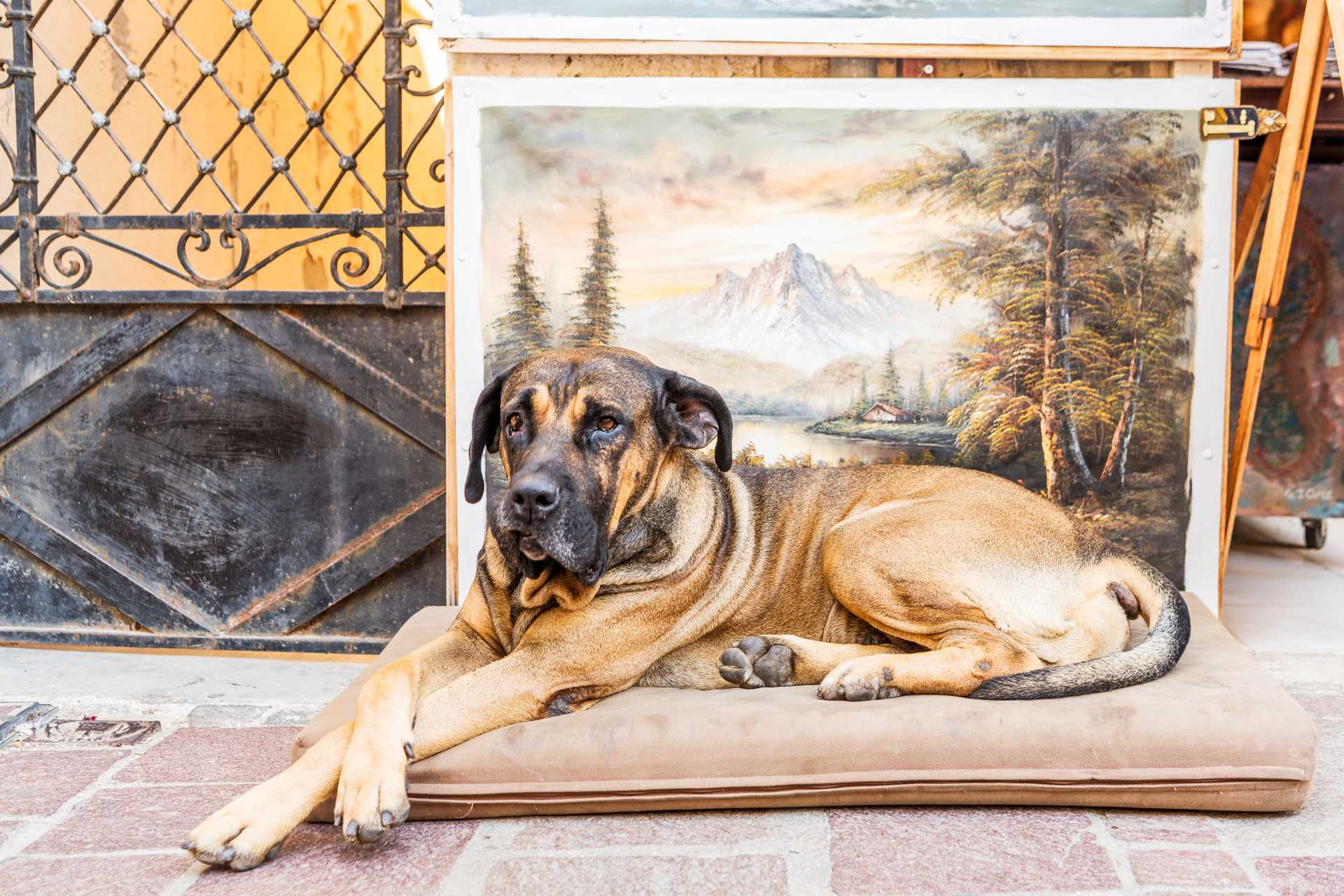 En som kan kunsten å slappe av!