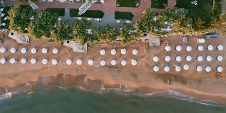 Santa Marina Beach Giannoulis Hotels -– sommer '25