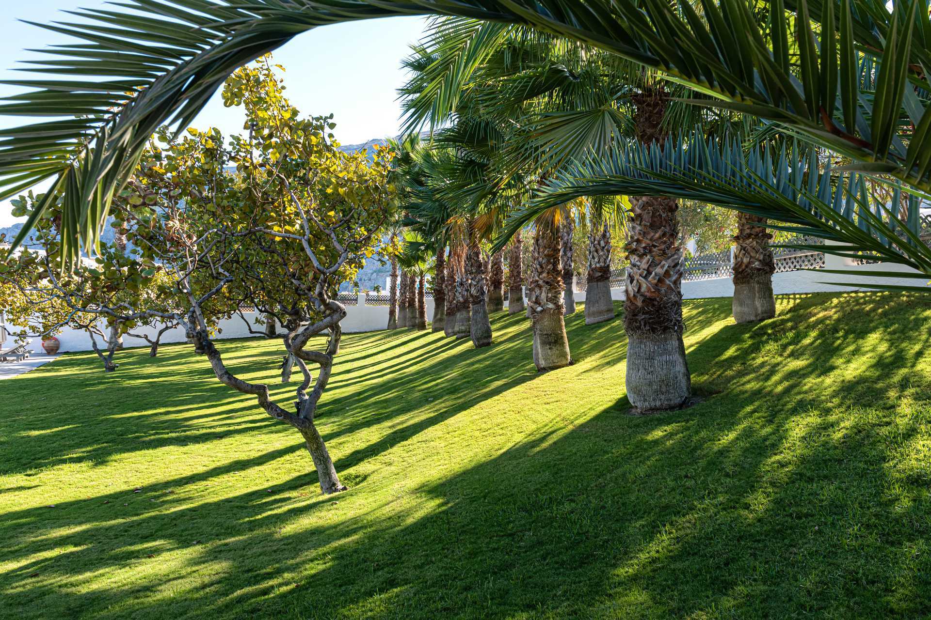 Grøntområder på Santorini Kastelli Resort på Santorini, Hellas.