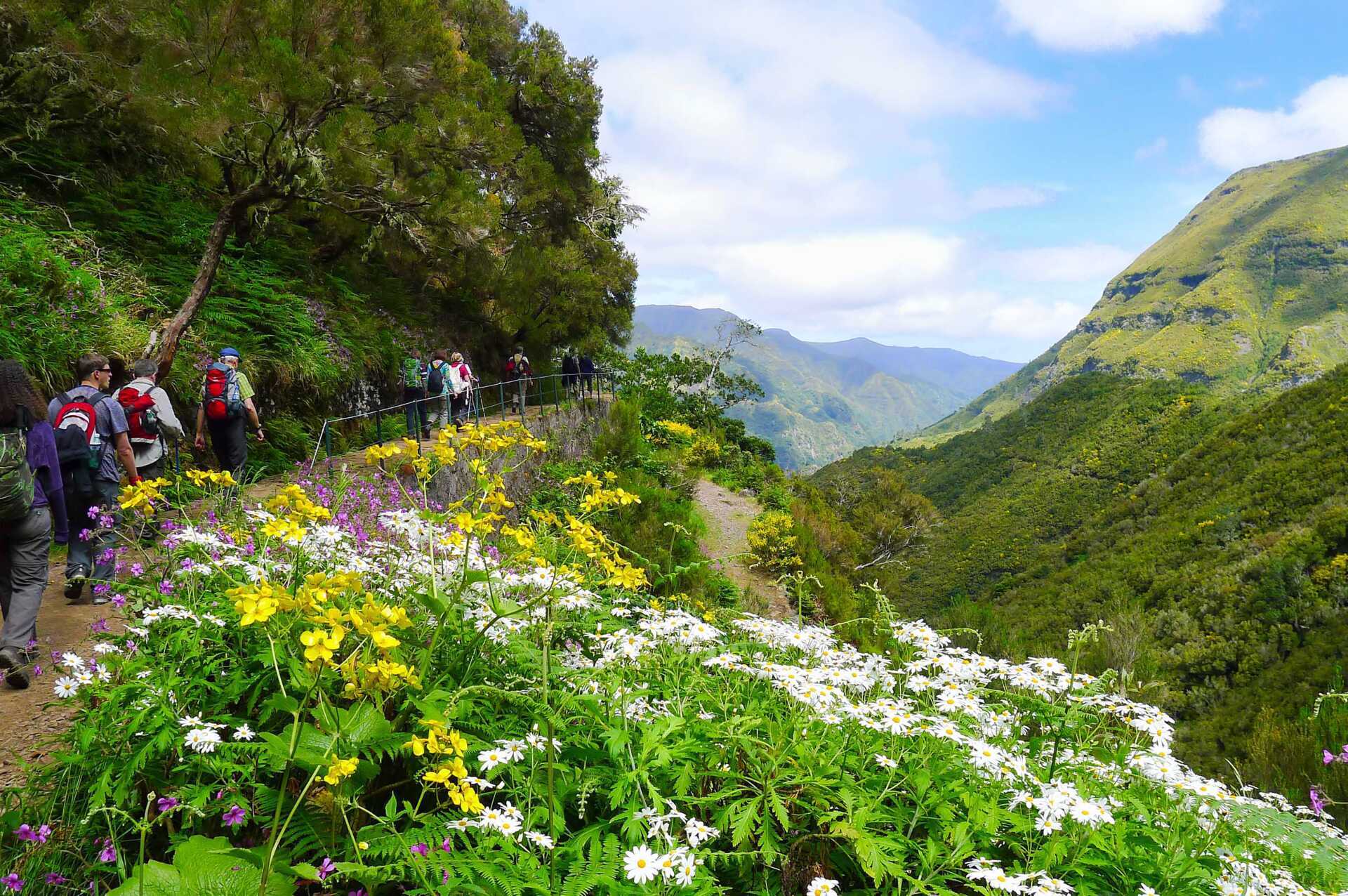 Vandring på Madeira, Portugal.
