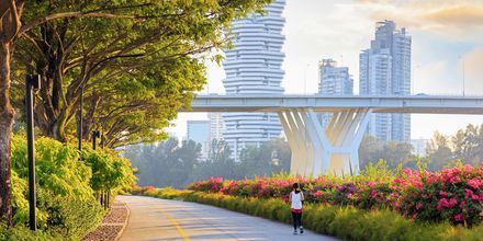 Nyt vegetasjon og moderne arkitektur samtidig i Singapore.