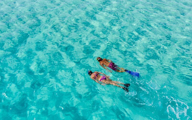 Snorkling i Rødehavet