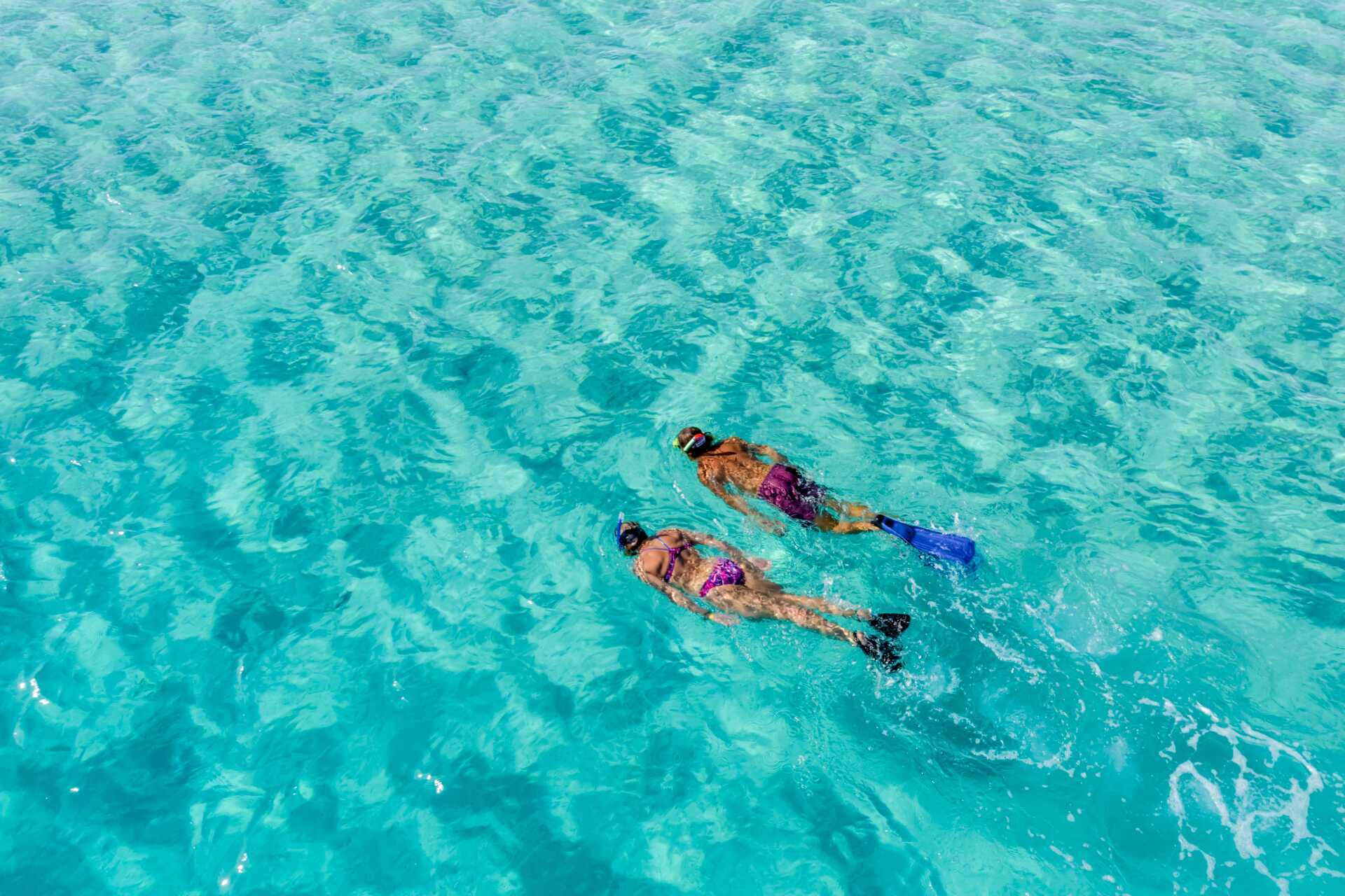 Snorkling i Rødehavet