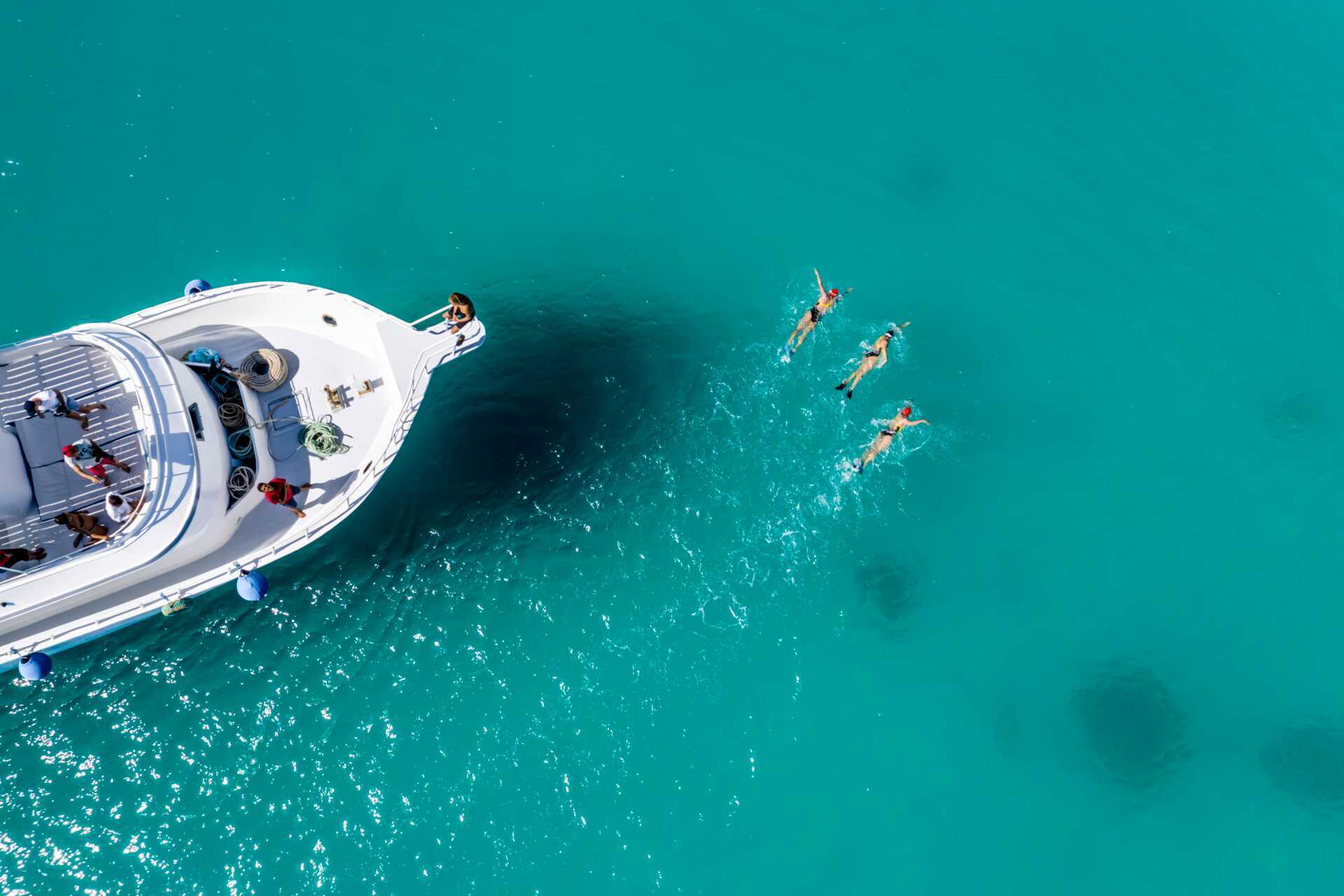 Rødehavet er perfekt for svømmetrening.