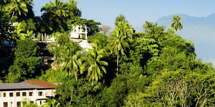 Utsikt fra Kandy