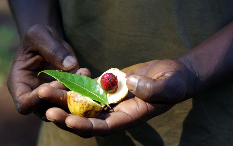 Stone Town og krydder – to sider av Zanzibar