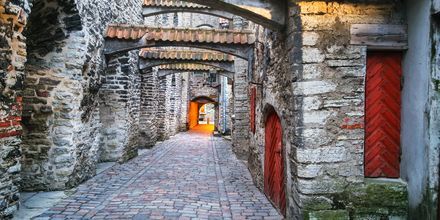 Katariina käik – gate fra middelalderen i Tallinn, Estland.