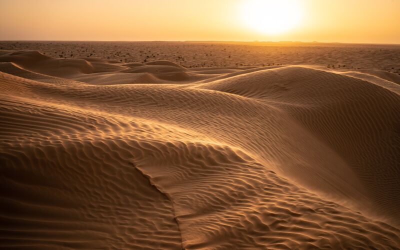To-dagers tur til Sahara