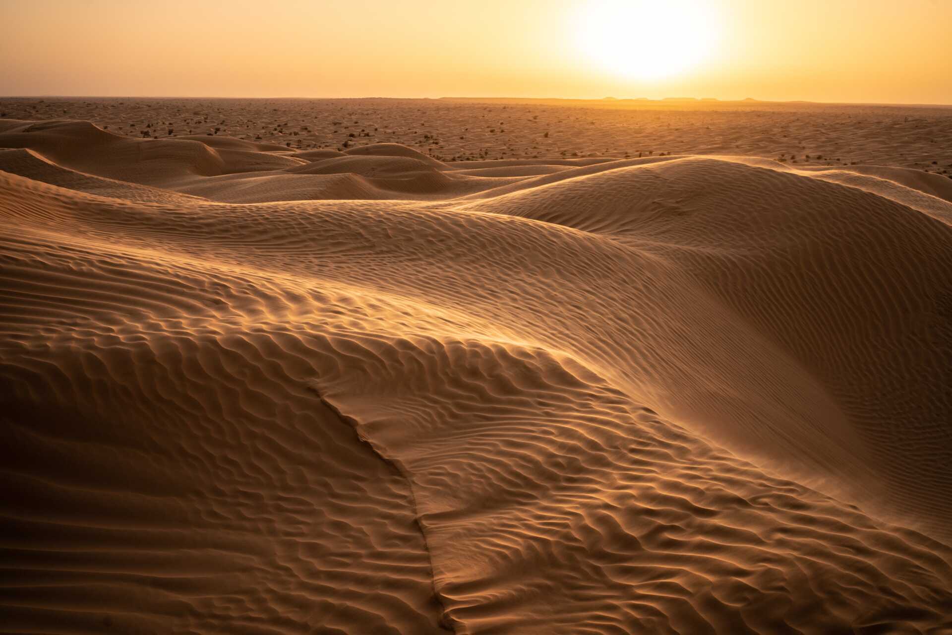 Todagers tur til Sahara