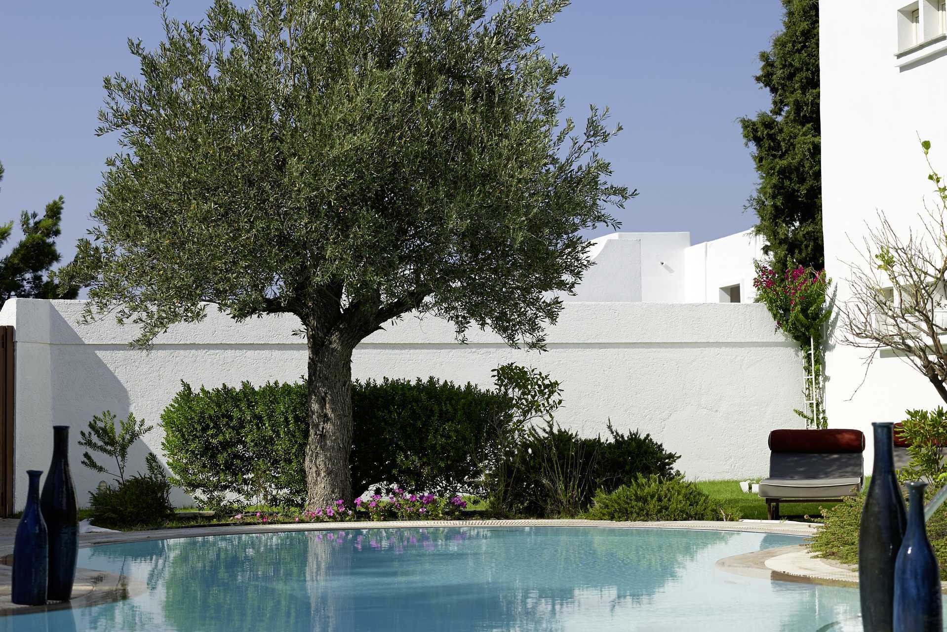 Toroms suite med delt basseng på Esperos Blue Village and Spa, Rhodos.