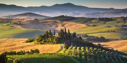 Toscana lokker med et bølgende landskap, vingårder og historiske byer.