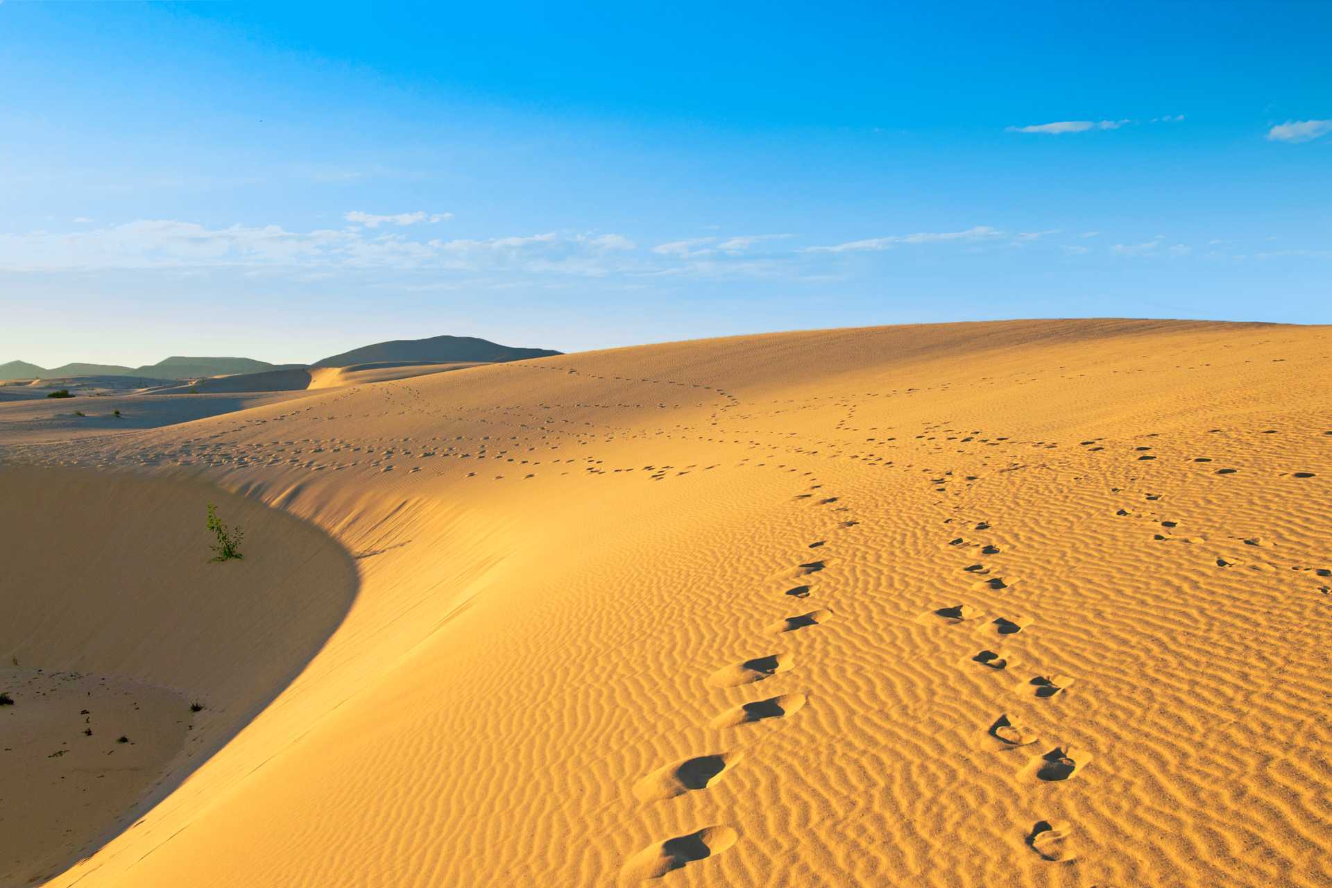 Vakre Fuerteventura