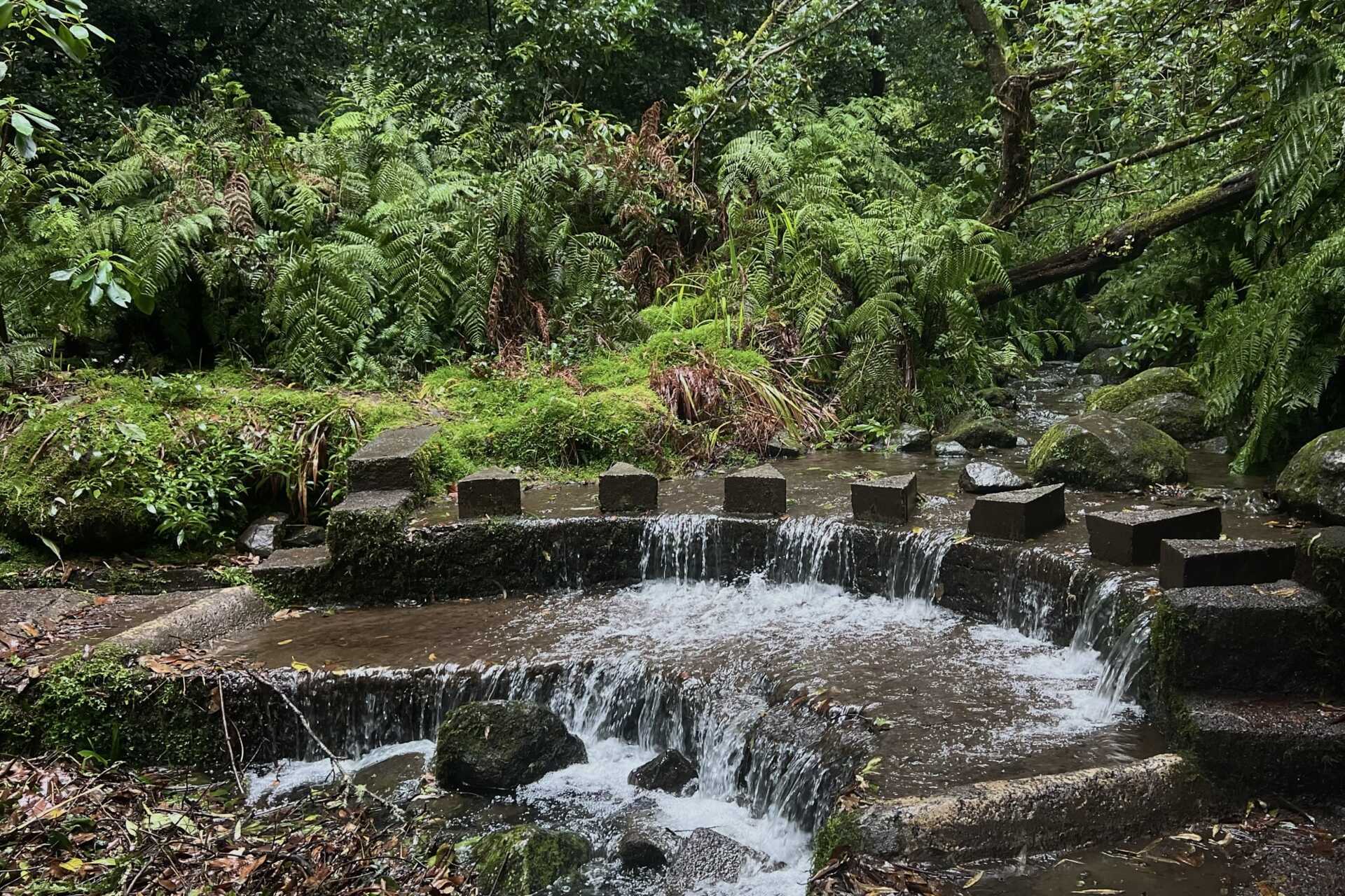 Vandring - Levada do Rei - 10,5 km