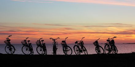 Sykkeltur med gjengen i solnedgangen