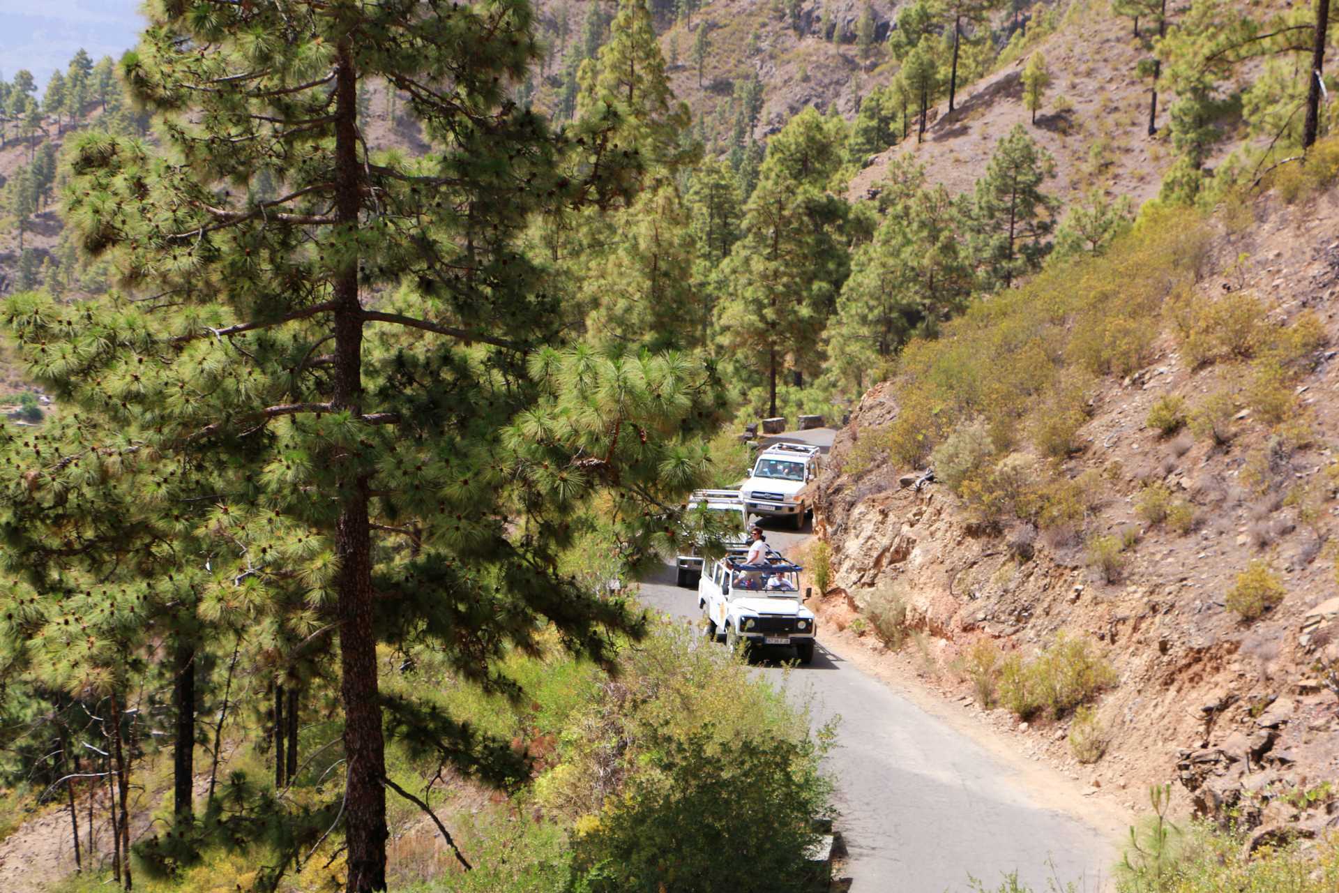 Villt og vakkert - Jeepsafari med fantastiske vyer